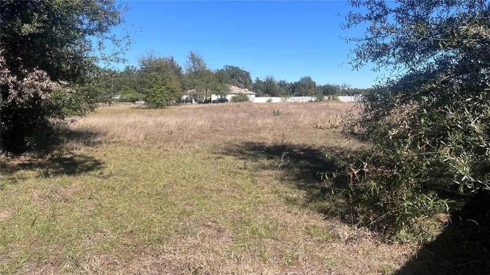 13415 COCOPAH LANE Dover, FL 33527