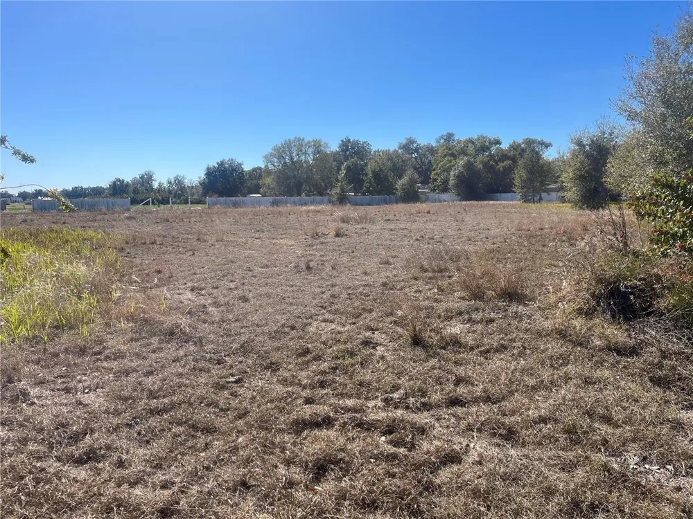13415 COCOPAH LANE Dover, FL 33527