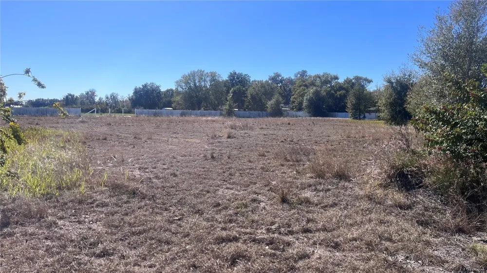 13415 COCOPAH LANE Dover, FL 33527
