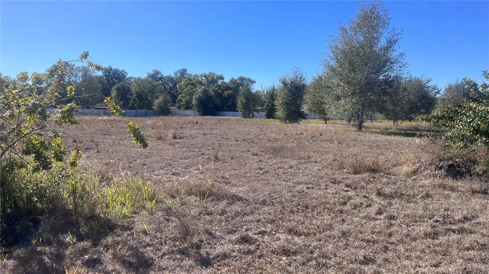 13415 COCOPAH LANE Dover, FL 33527