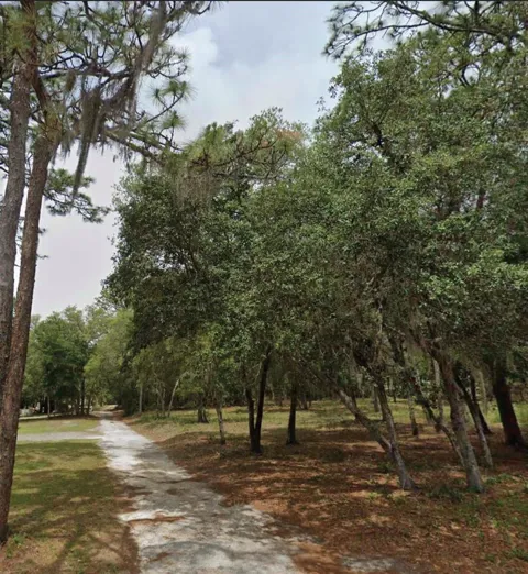 1163 E CANVAS LANE