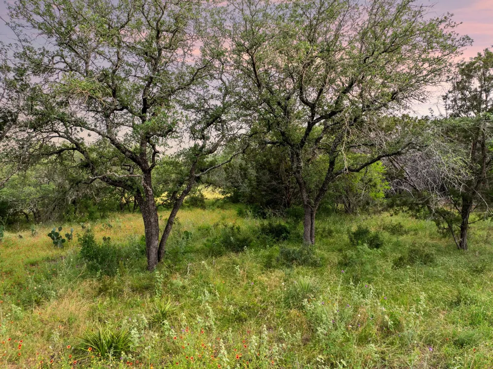 2308 County Road 414 Spicewood, TX 78669