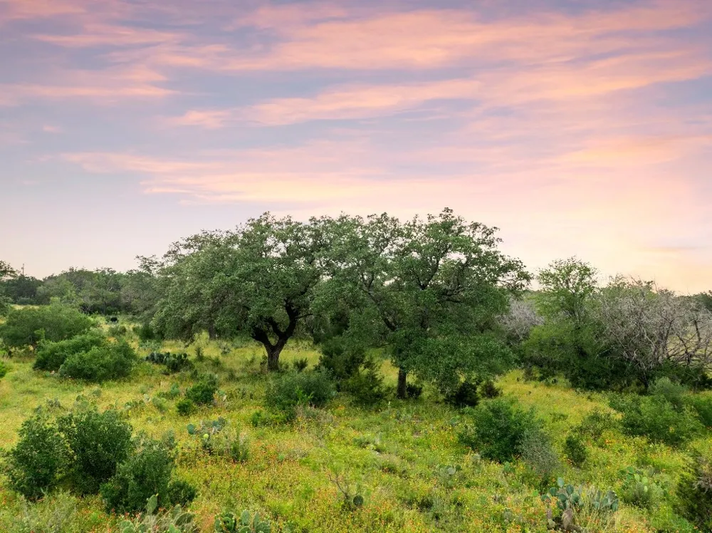 2308 County Road 414 Spicewood, TX 78669