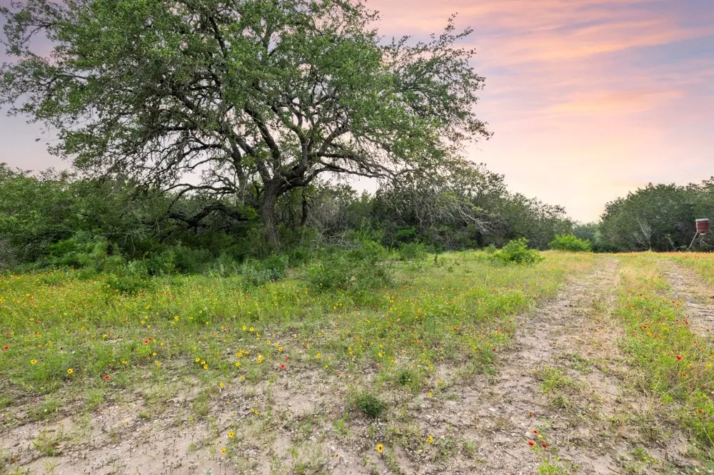 2308 County Road 414 Spicewood, TX 78669