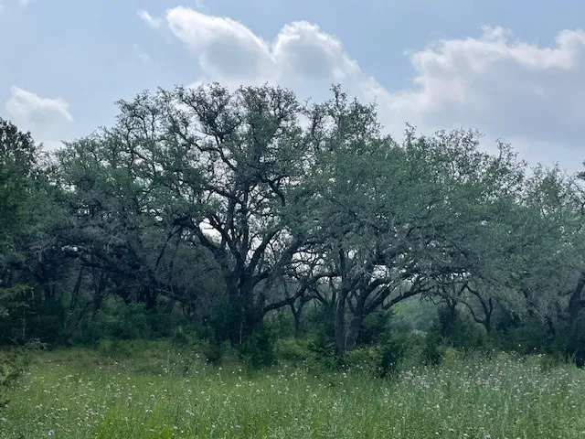 2308 County Road 414 Spicewood, TX 78669