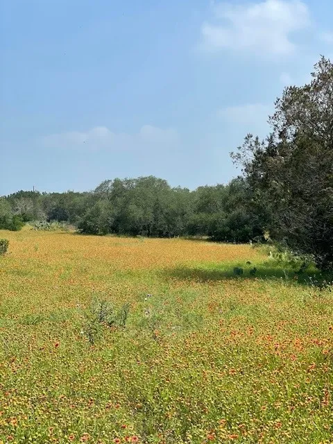 2308 County Road 414 Spicewood, TX 78669