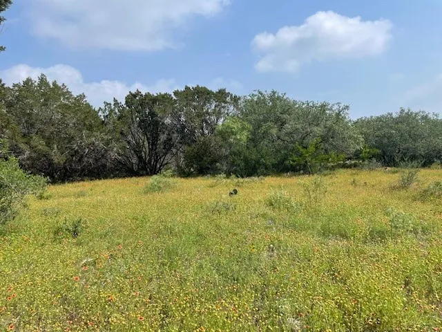 2308 County Road 414 Spicewood, TX 78669