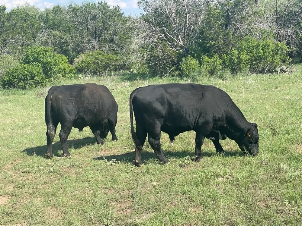2308 County Road 414 Spicewood, TX 78669