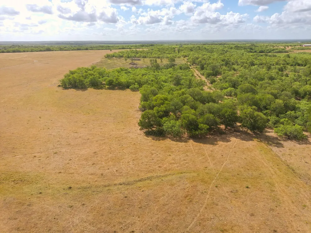 County Road 446 Waelder, TX 78959