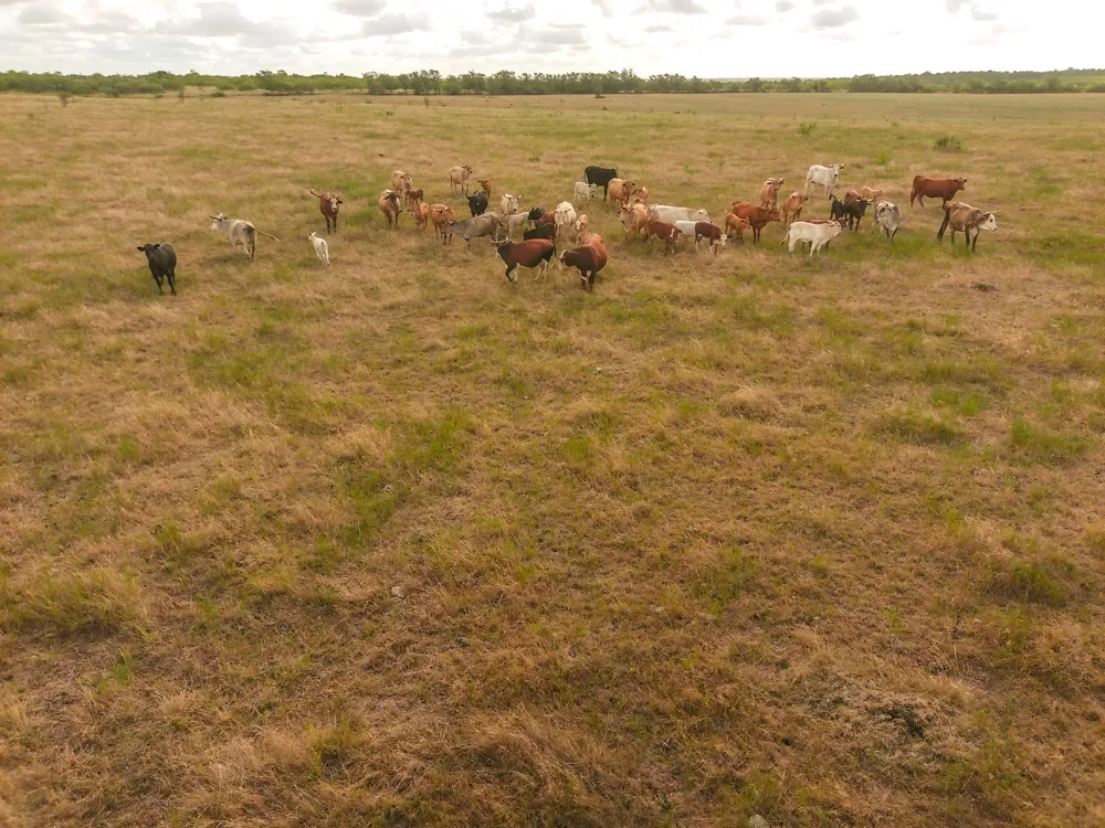County Road 446 Waelder, TX 78959