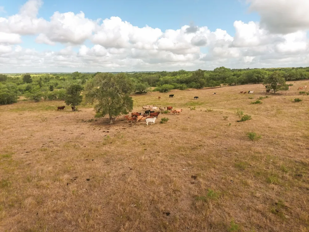 County Road 446 Waelder, TX 78959
