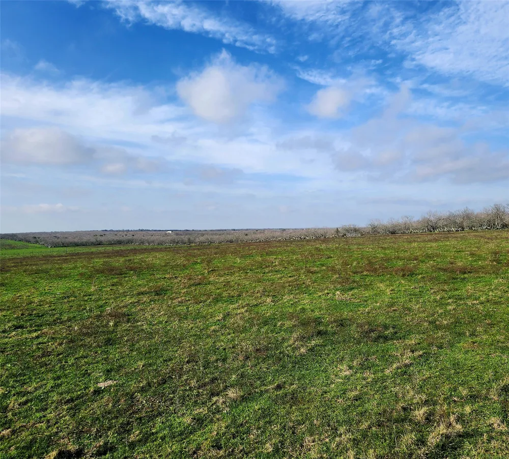 County Road 446 Waelder, TX 78959