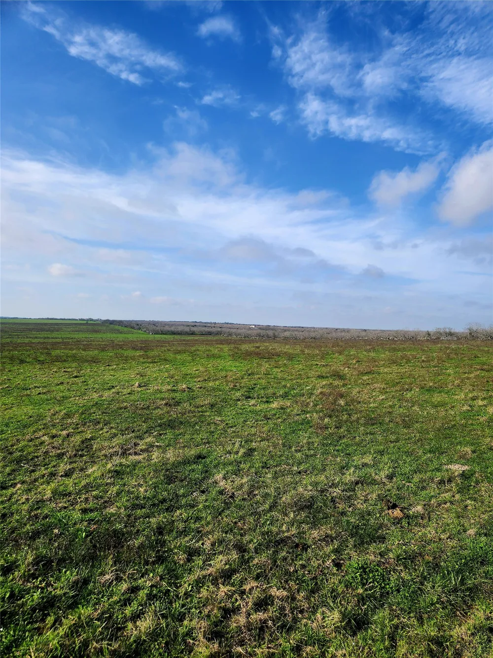 County Road 446 Waelder, TX 78959