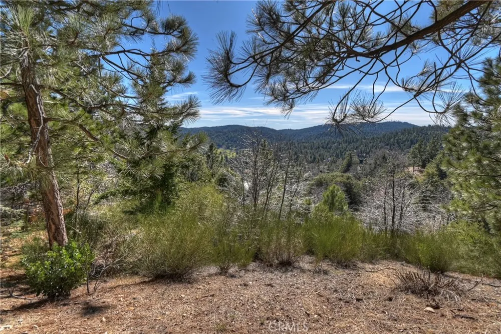 Black Oaks Court Lake Arrowhead, CA 92352