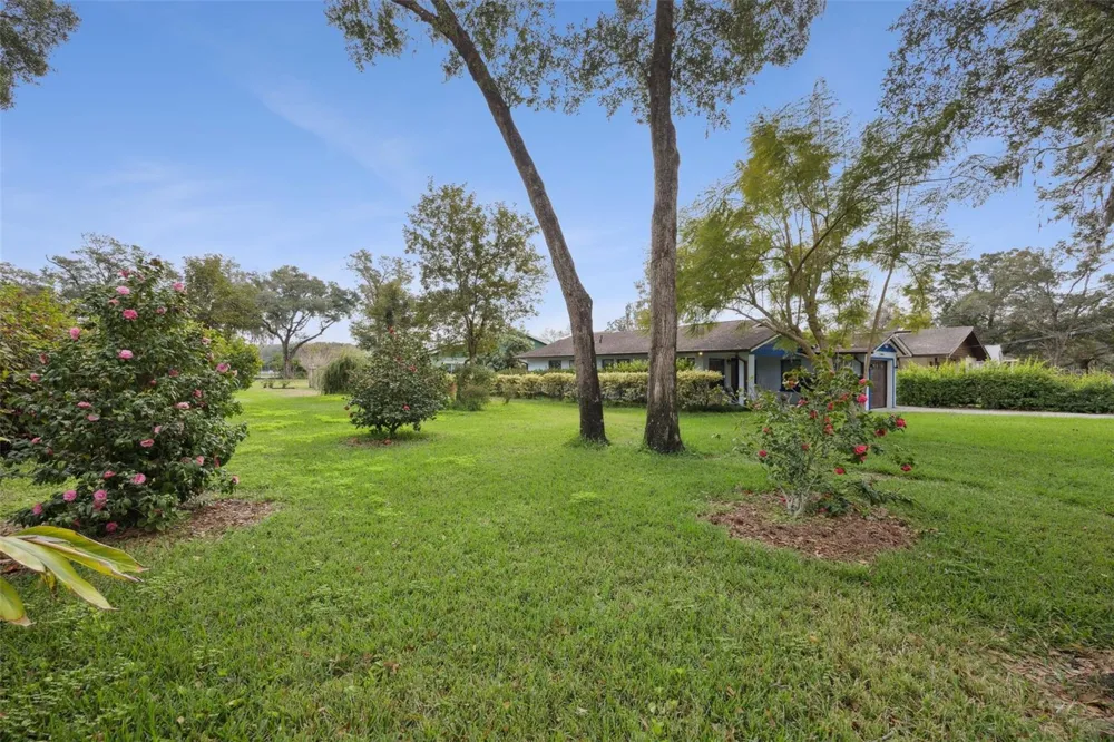 30904 DEAL DRIVE Sorrento, FL 32776