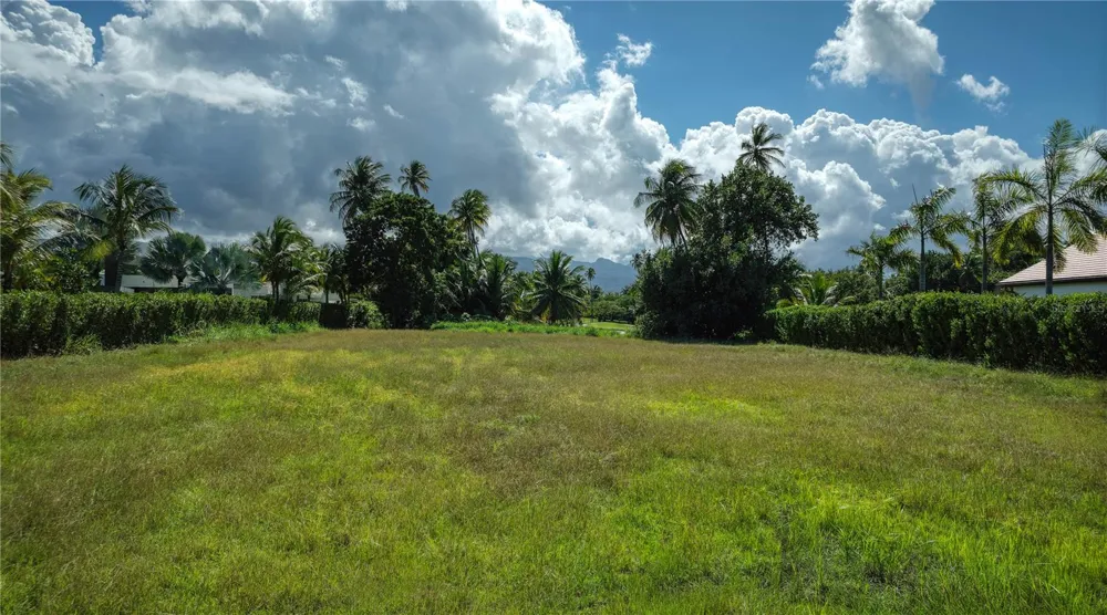 7000 BAHIA BEACH BOULEVARD #19 Las Estancias Rio Grande, PR 00745