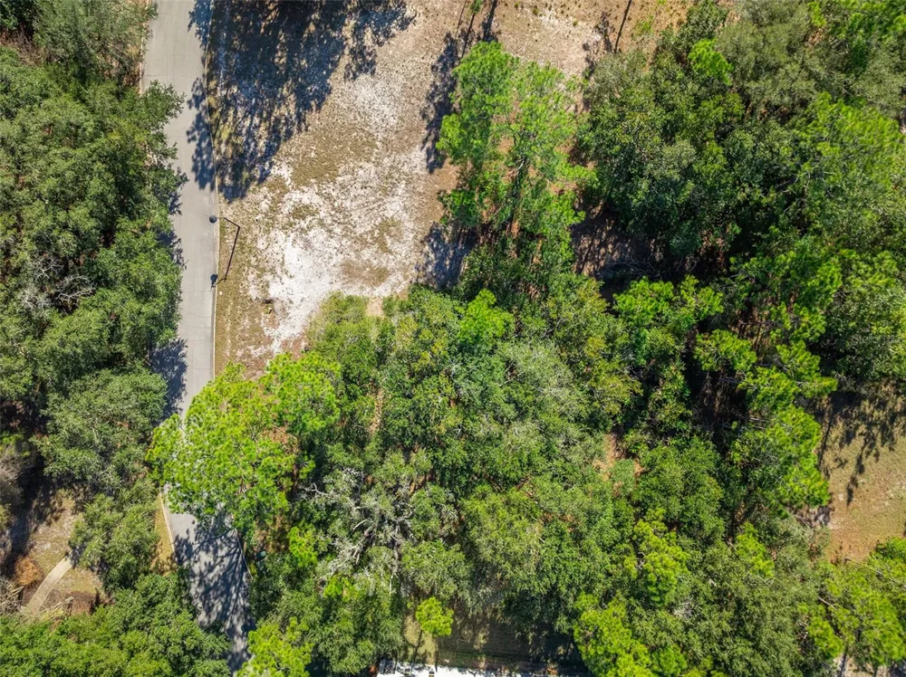 0 OAK GLEN TRAIL #50E St Cloud, FL 34773
