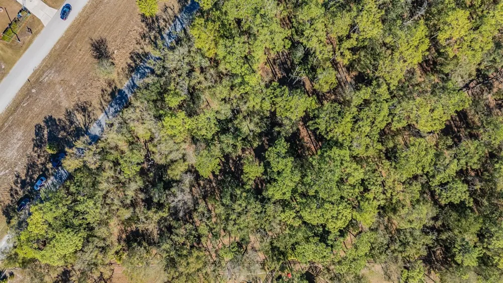 5504 SUN UP ROAD Land O Lakes, FL 34638