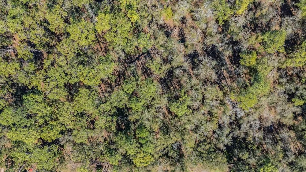 5504 SUN UP ROAD Land O Lakes, FL 34638