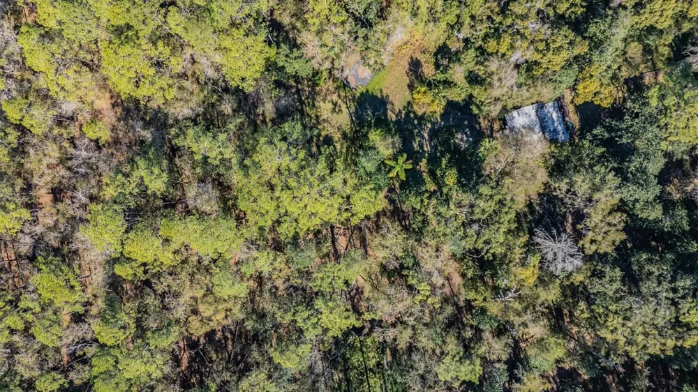 5504 SUN UP ROAD Land O Lakes, FL 34638