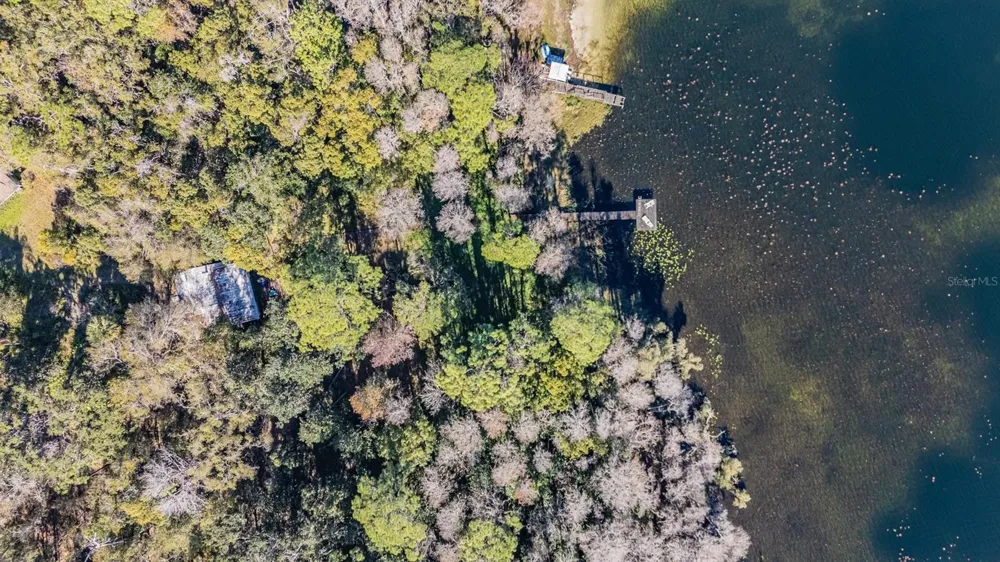 5504 SUN UP ROAD Land O Lakes, FL 34638