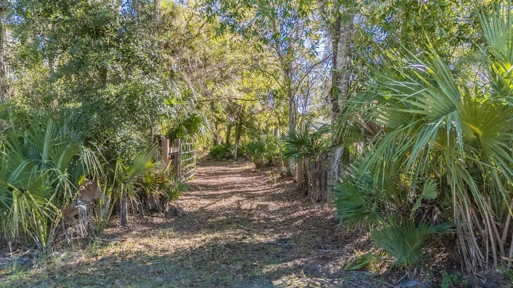 5504 SUN UP ROAD Land O Lakes, FL 34638