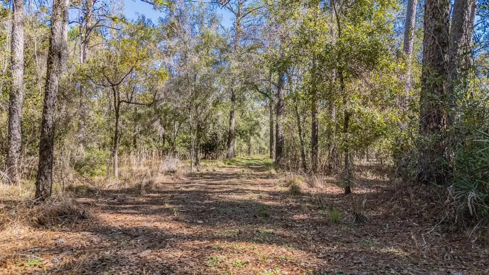 5504 SUN UP ROAD Land O Lakes, FL 34638