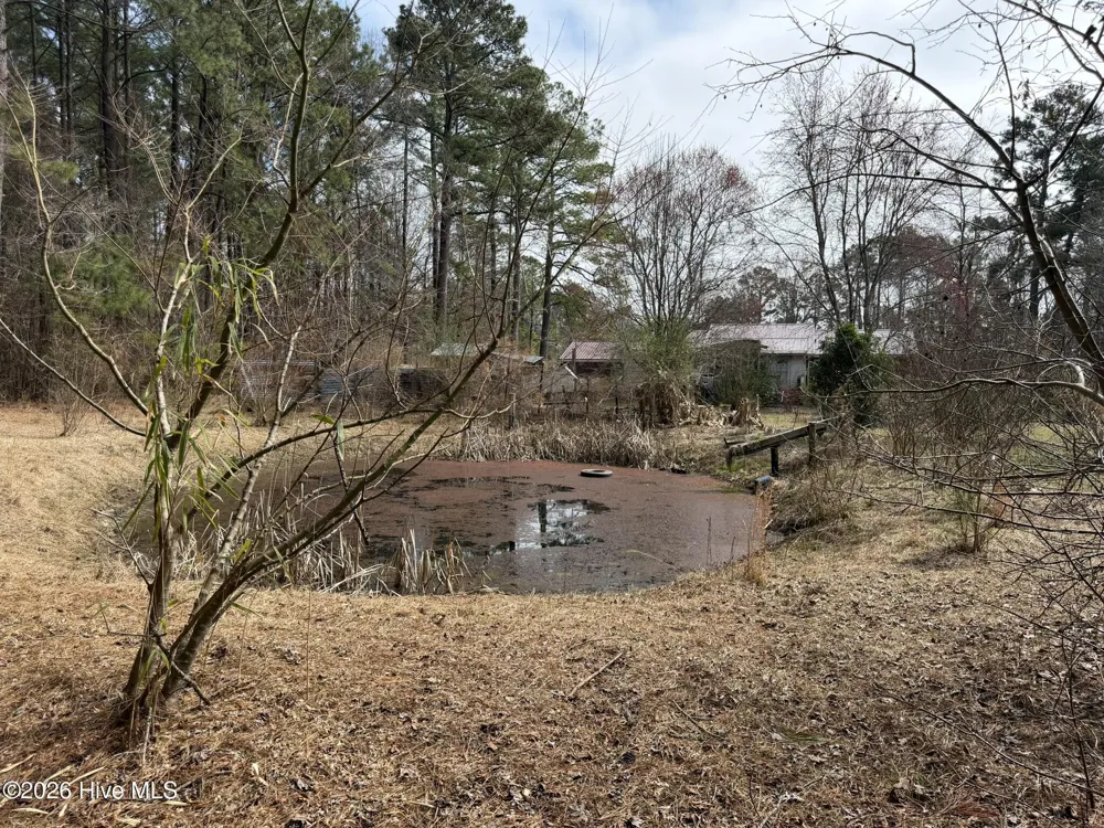 3414 Possum Hill Road Bath, NC 27808