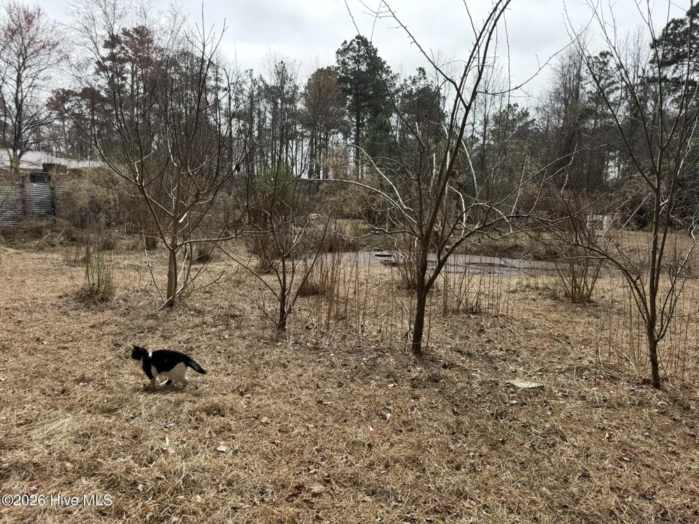 3414 Possum Hill Road Bath, NC 27808