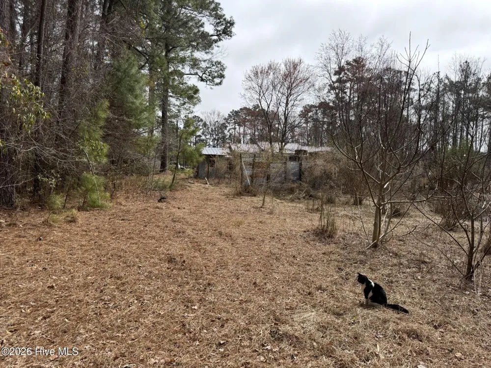 3414 Possum Hill Road Bath, NC 27808