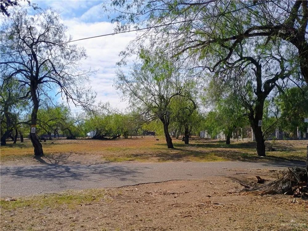972 S Kika De La Garza Boulevard La Joya, TX 78560