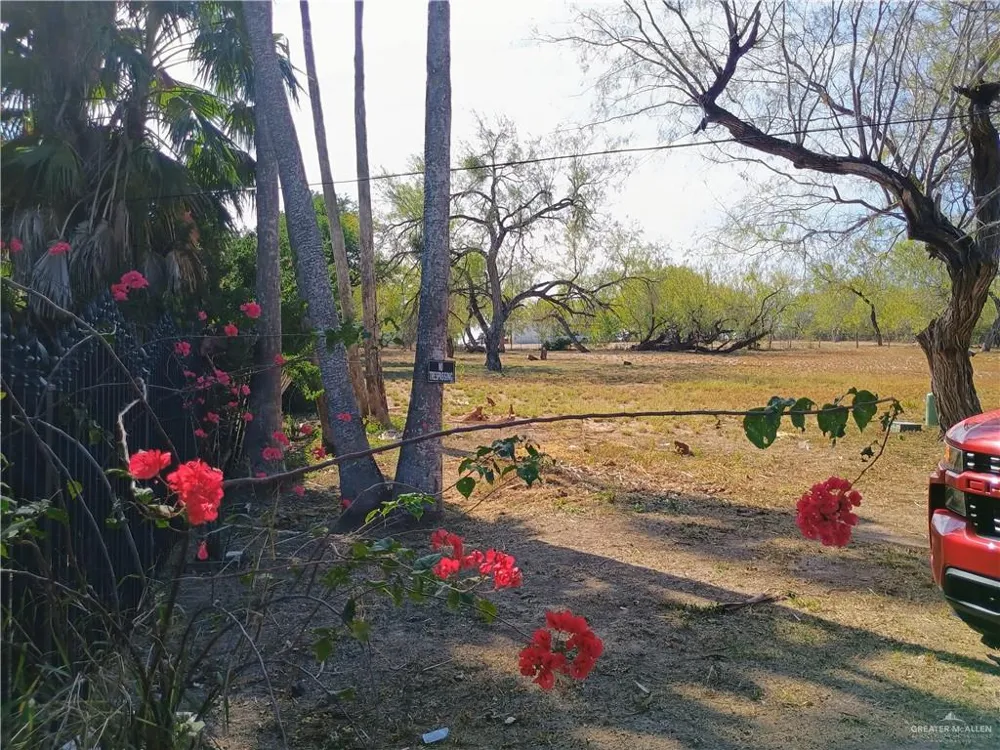 972 S Kika De La Garza Boulevard La Joya, TX 78560