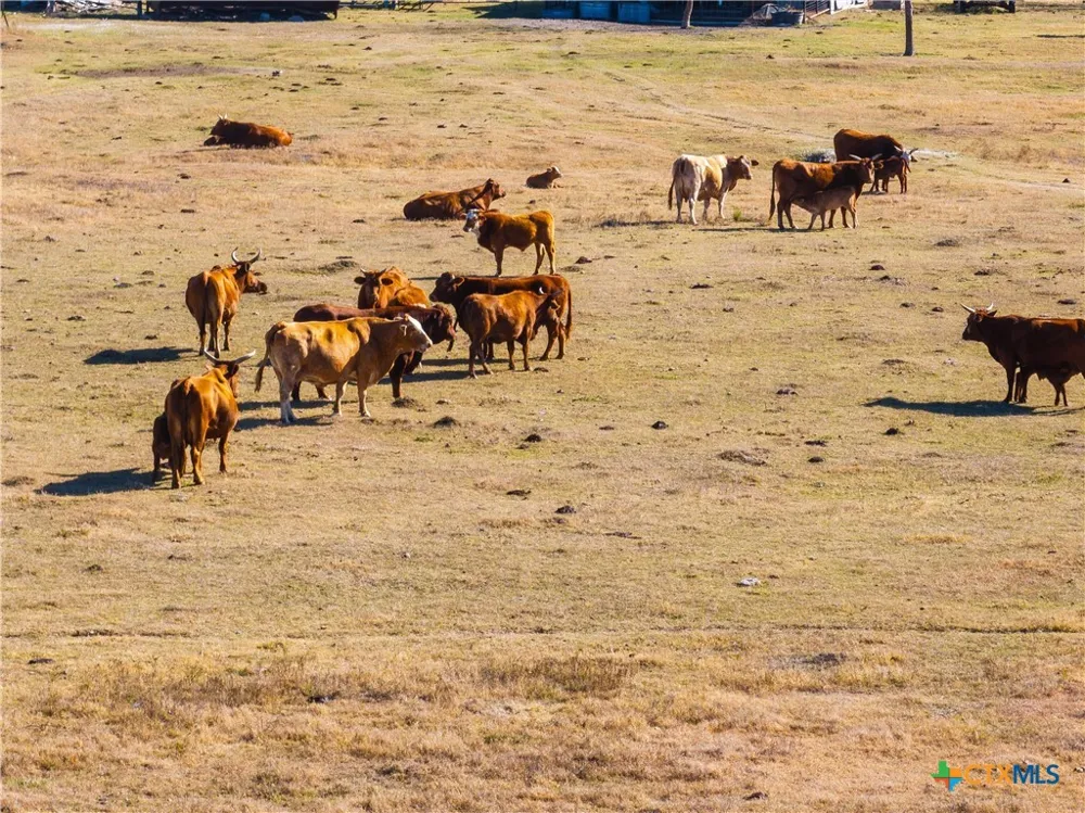 2927 County Road 302 Bartlett, TX 76511