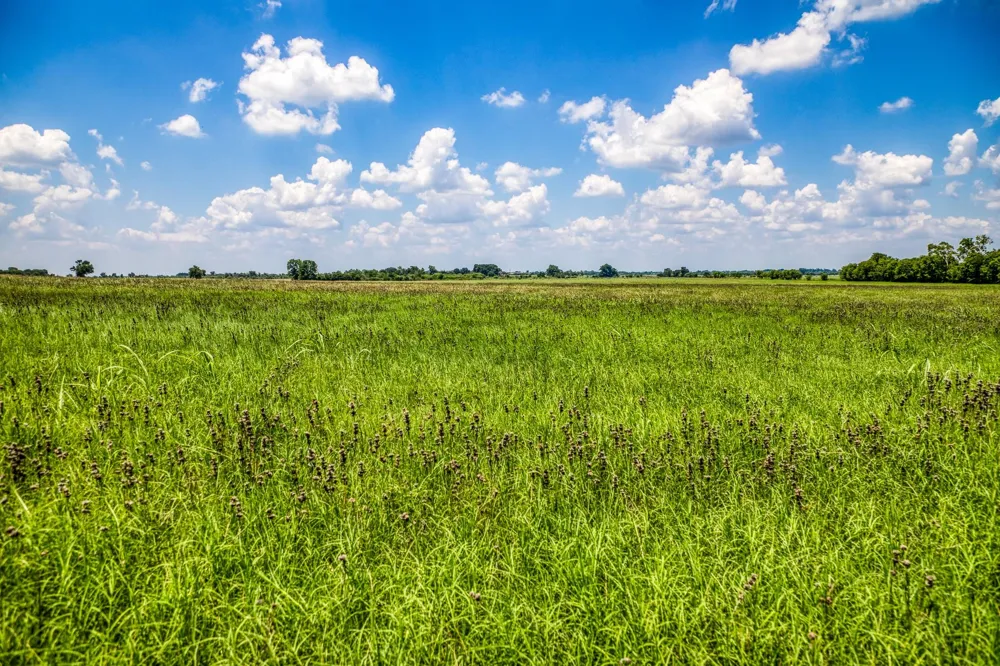 Egypt Lane Washington, TX 77880