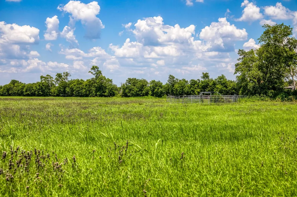 Egypt Lane Washington, TX 77880