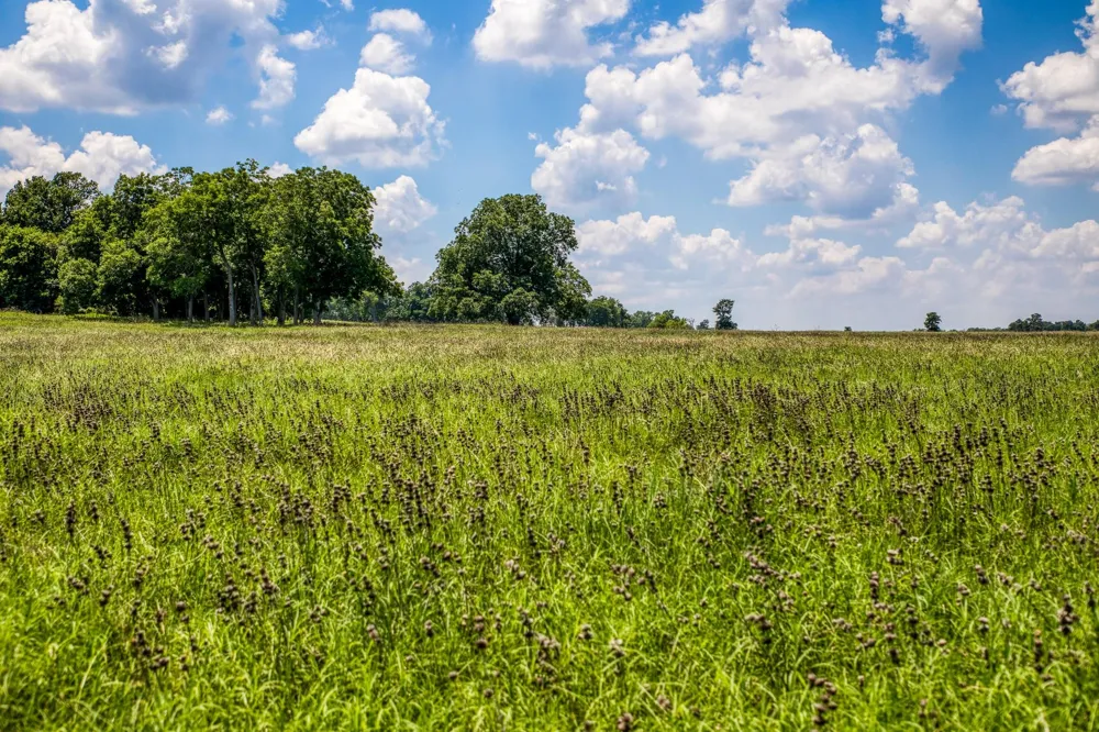 Egypt Lane Washington, TX 77880