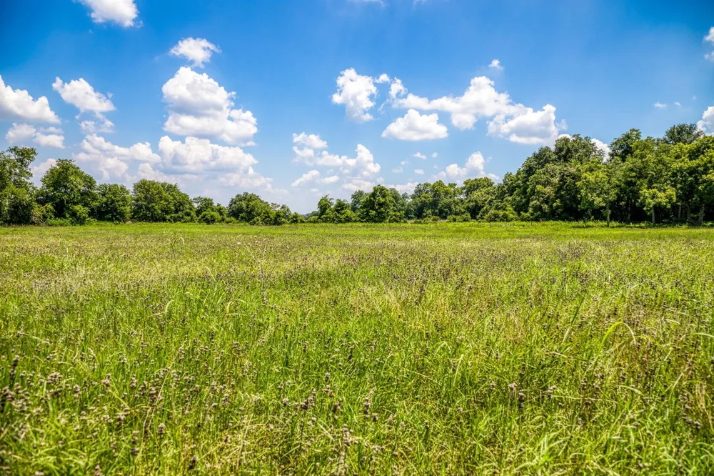 Egypt Lane Washington, TX 77880