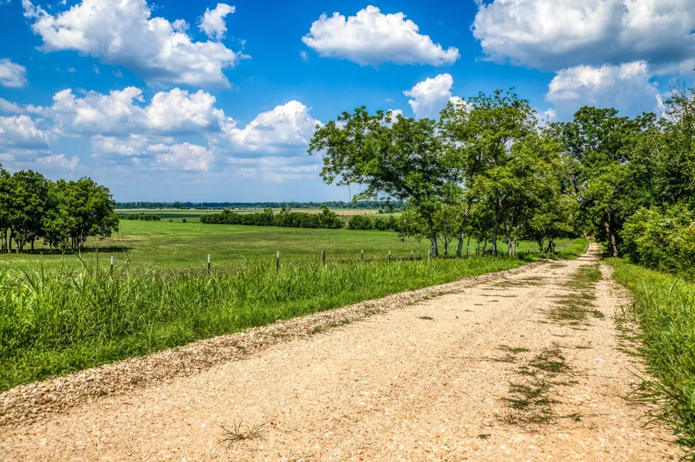 Egypt Lane Washington, TX 77880