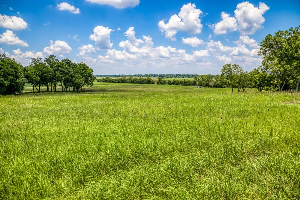 Egypt Lane Washington, TX 77880