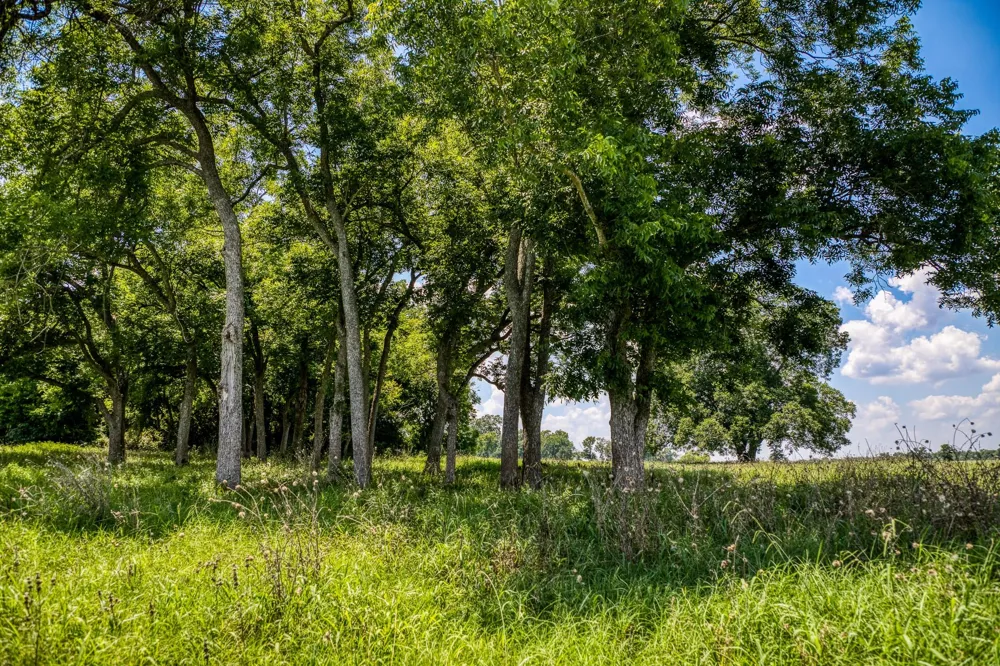 Egypt Lane Washington, TX 77880