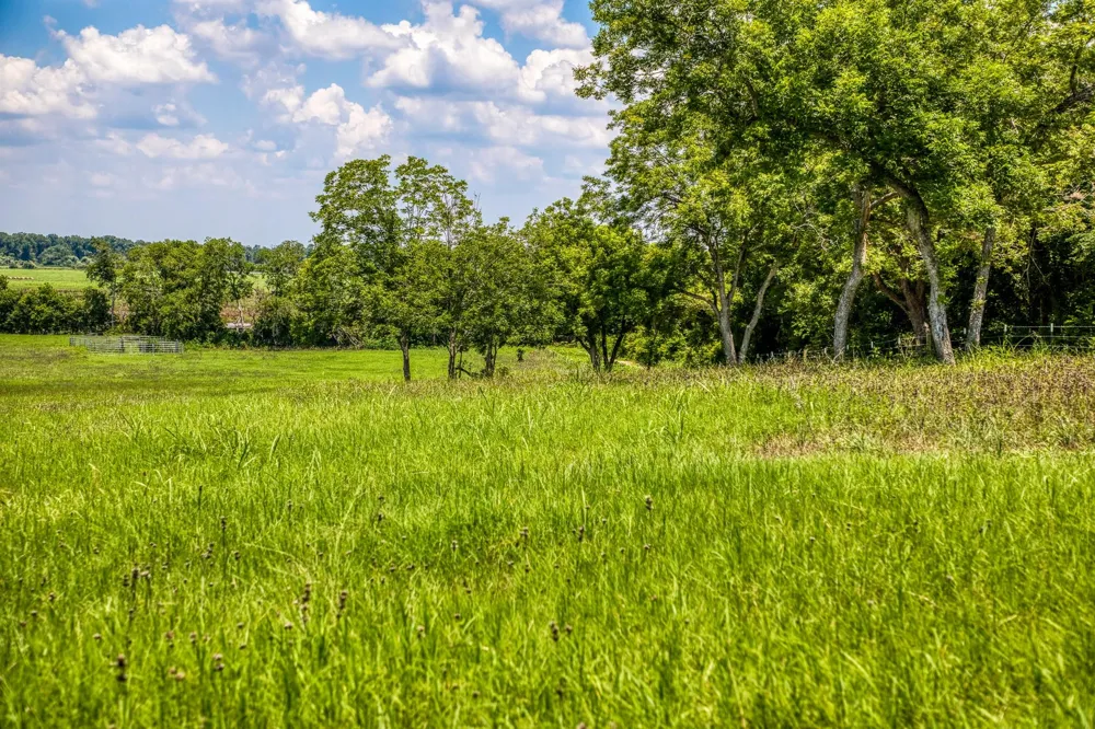 Egypt Lane Washington, TX 77880