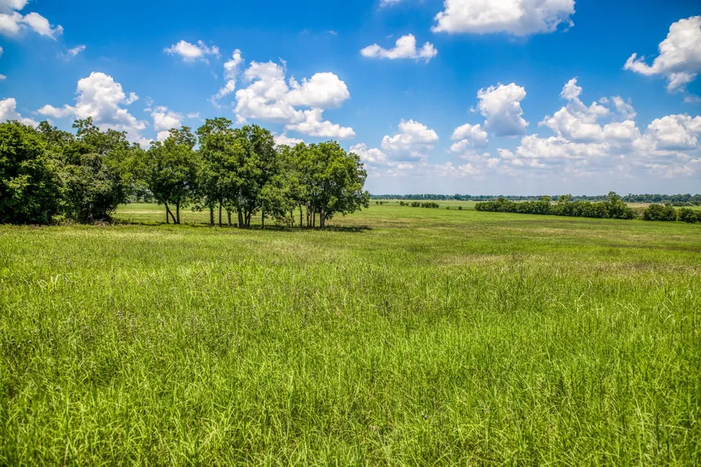 Egypt Lane Washington, TX 77880
