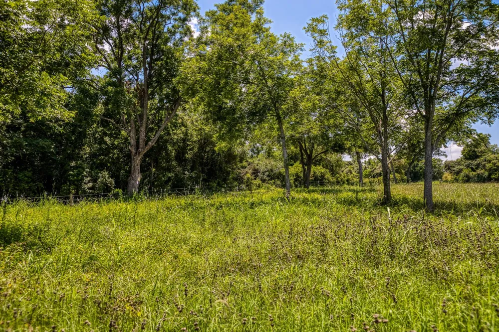 Egypt Lane Washington, TX 77880