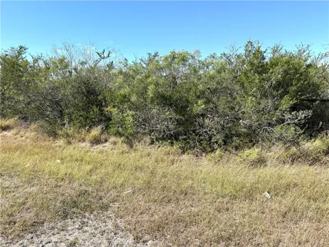 2647 Highway 359