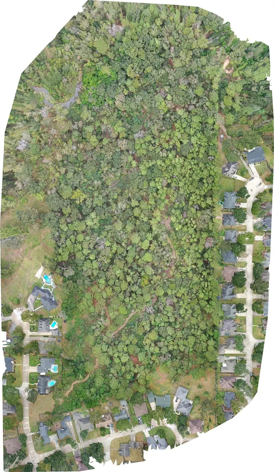 Stella Lane Tomball, TX 77375