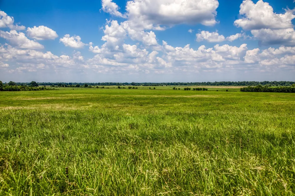 Egypt Lane Washington, TX 77880