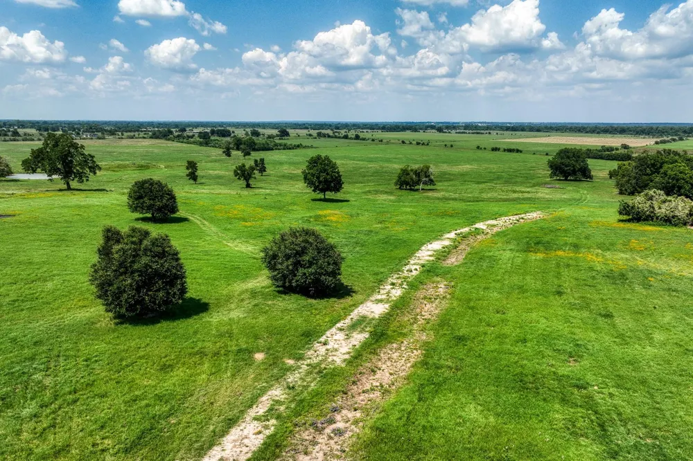 Egypt Lane Washington, TX 77880