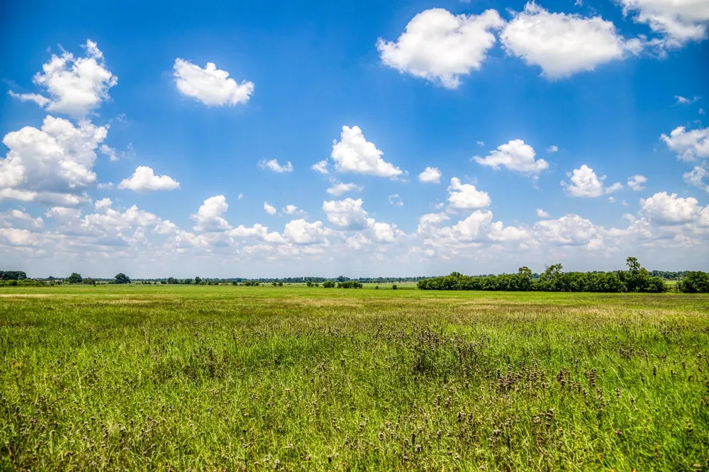 Egypt Lane Washington, TX 77880