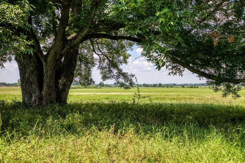Egypt Lane Washington, TX 77880
