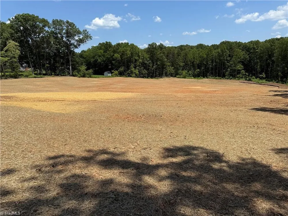 Lot 10 Brown Road King, NC 27021